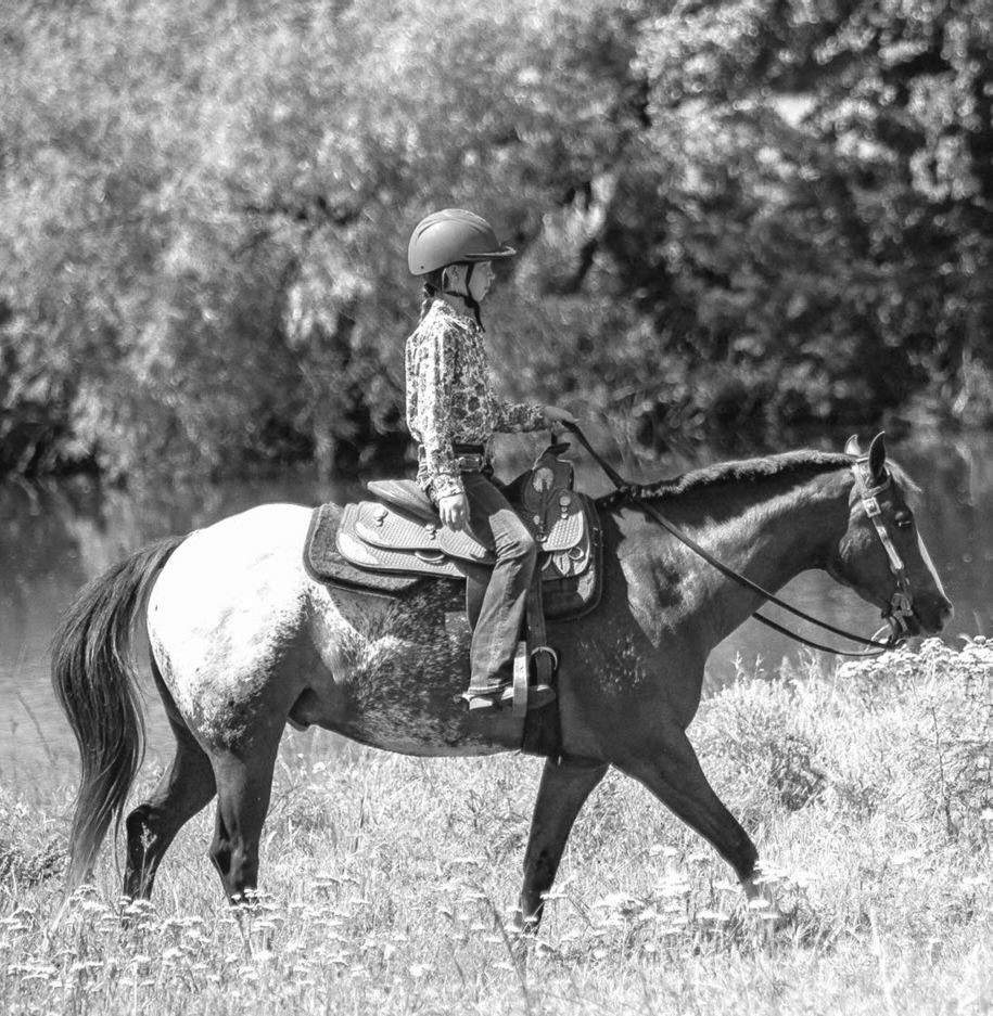 Equine herpes a growing concern this show season